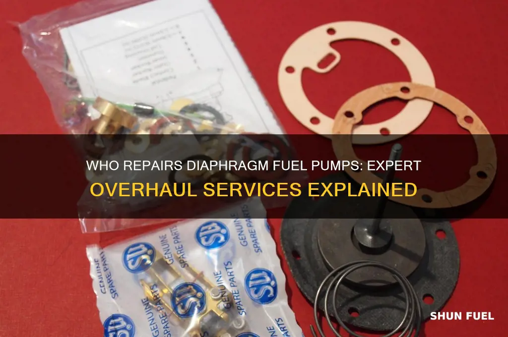 who overhauls the diaphragm fuel pump