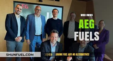 Unveiling the Ownership: A Deep Dive into AEG Fuels' Corporate Structure