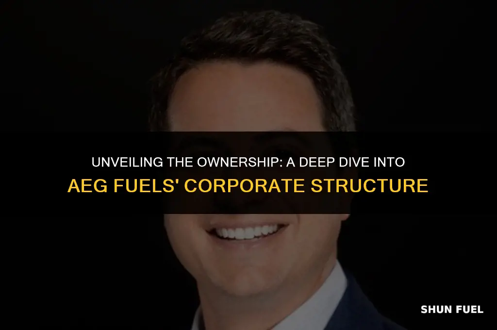 who owns aeg fuels