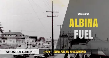 Unveiling the Ownership Mystery: Who Controls Albina Fuel?