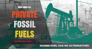 Unveiling the Hidden Owners of Global Private Fossil Fuel Reserves