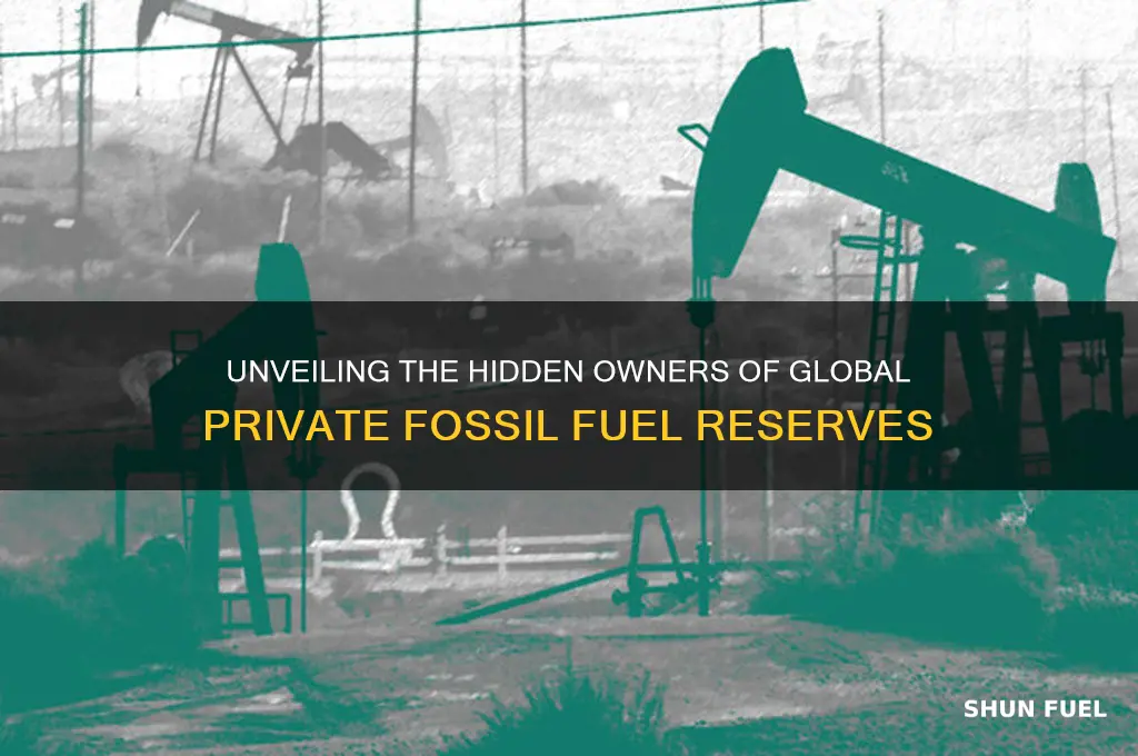 who owns all private fossil fuels