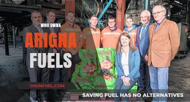 Unveiling the Ownership: A Deep Dive into Arigna Fuels' Hierarchy
