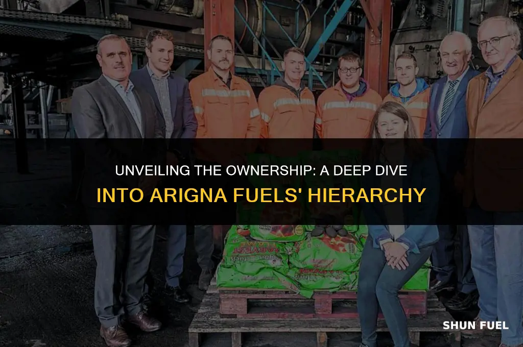 who owns arigna fuels