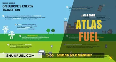 Unveiling the Ownership: A Deep Dive into Atlas Fuel's Hierarchy