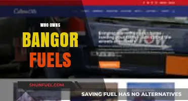 Unveiling the Ownership: A Deep Dive into Bangor Fuels' Hierarchy
