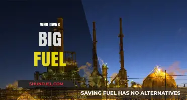 Unveiling the Titans: Who Really Controls the Big Fuel Industry?