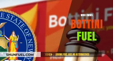 Unveiling the Ownership: A Deep Dive into Bottini Fuel's Hierarchy