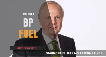 Unveiling the Ownership: Who Controls BP's Fuel Empire?