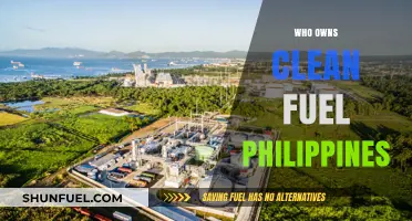 Unveiling Ownership: A Deep Dive into Clean Fuel Philippines