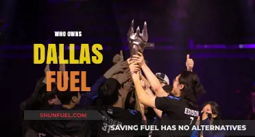 Unveiling the Ownership: A Deep Dive into Dallas Fuel's Hierarchy
