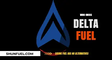 Unveiling the Power Players: Who Really Owns Delta Fuel?