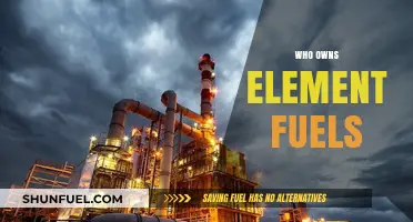 Unveiling the Ownership: A Deep Dive into Element Fuels' Hierarchy