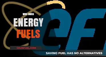 Unveiling the Power Players: Who Really Owns Energy Fuels?