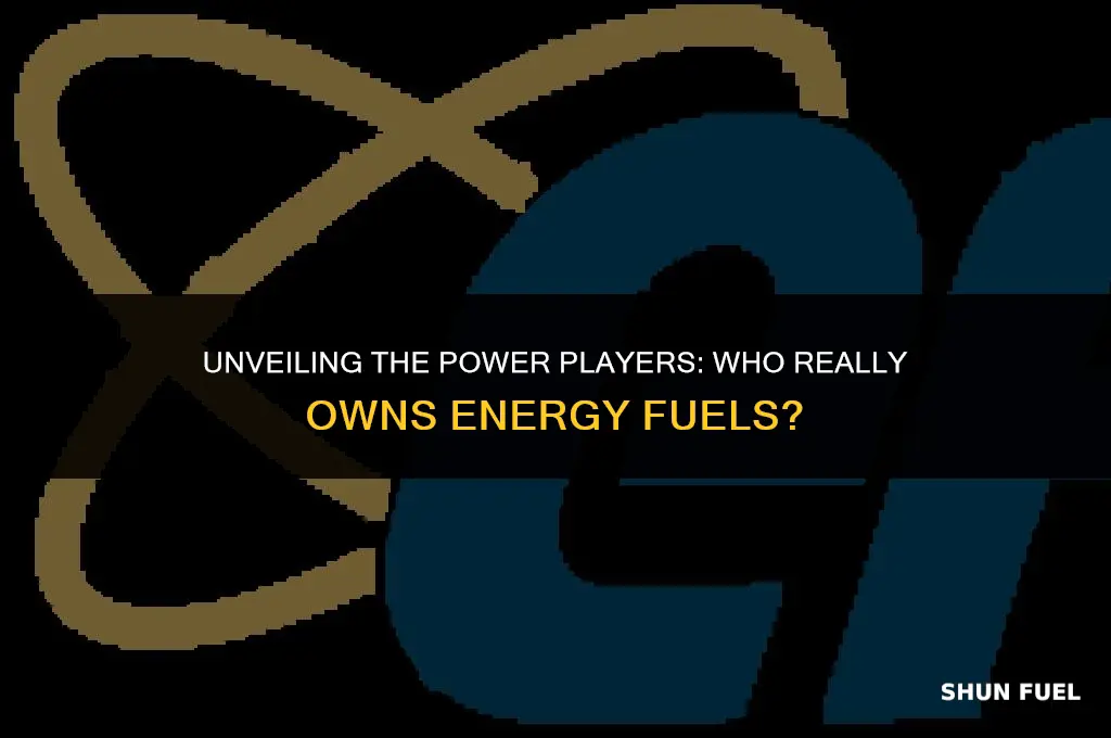 who owns energy fuels