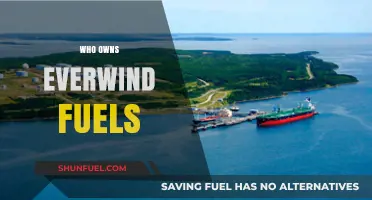 Unveiling the Ownership: A Deep Dive into Everwind Fuels' Hierarchy