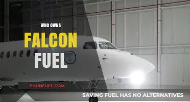 Unveiling the Ownership: A Deep Dive into Falcon Fuel's Hierarchy