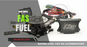 Unveiling the Ownership: A Deep Dive into Fas Fuel's Corporate Structure