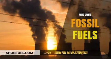 Unveiling Fossil Fuel Ownership: Corporations, Governments, and Global Control