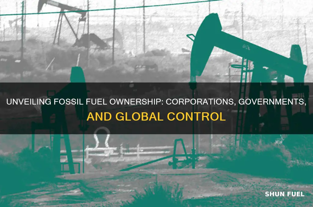 who owns fossil fuels