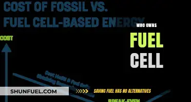 Exploring the Ownership Landscape of Fuel Cell Technology