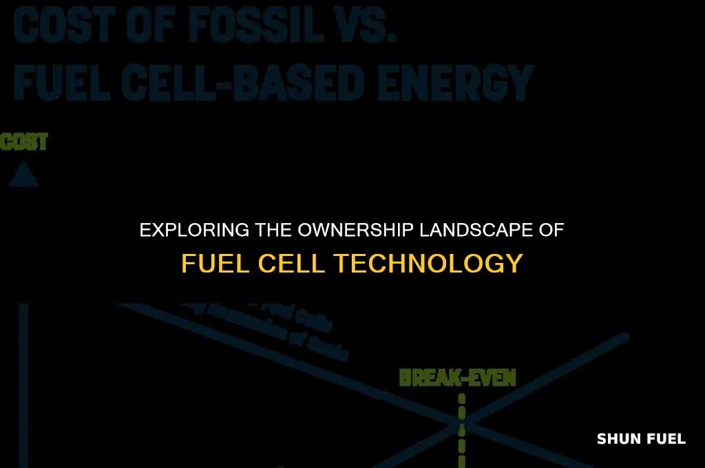who owns fuel cell