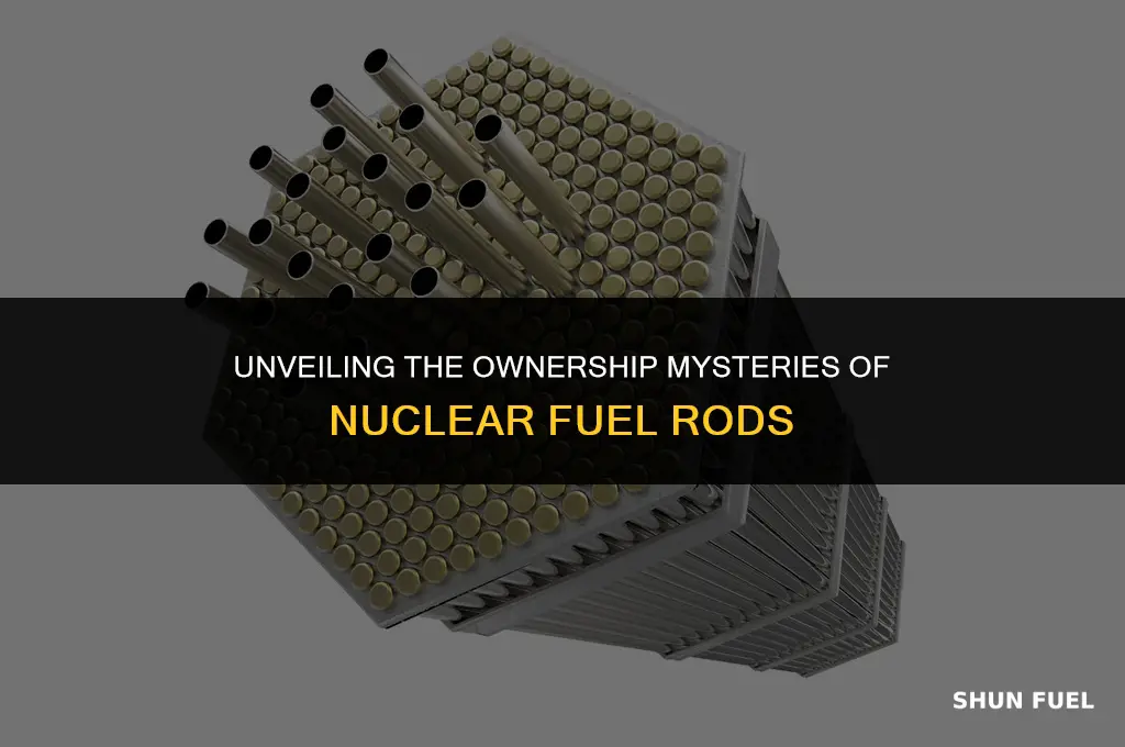 who owns fuel rod