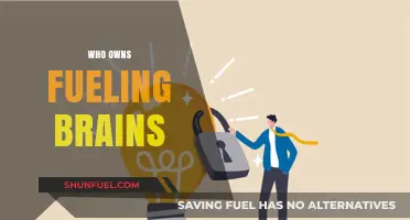 Exploring the Ownership of Intellectual Fuel: Who Owns Fueling Brains?