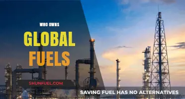 Unveiling the Titans: Who Controls the Global Fuel Industry?