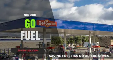 Unveiling the Ownership Mystery: Who Really Controls Go Fuel?