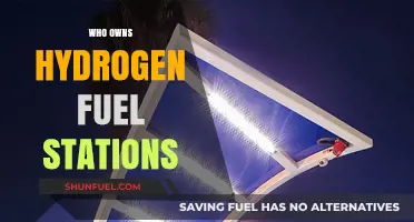 Exploring Ownership: Who Controls the Hydrogen Fuel Stations?