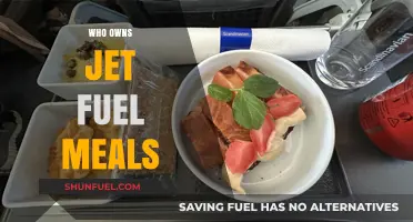 Unveiling the Surprising Ownership Behind In-Flight Meals