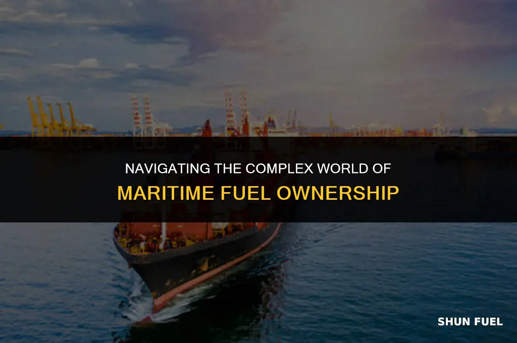 who owns maritime fuel