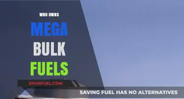 Unveiling the Ownership: A Deep Dive into Mega Bulk Fuels