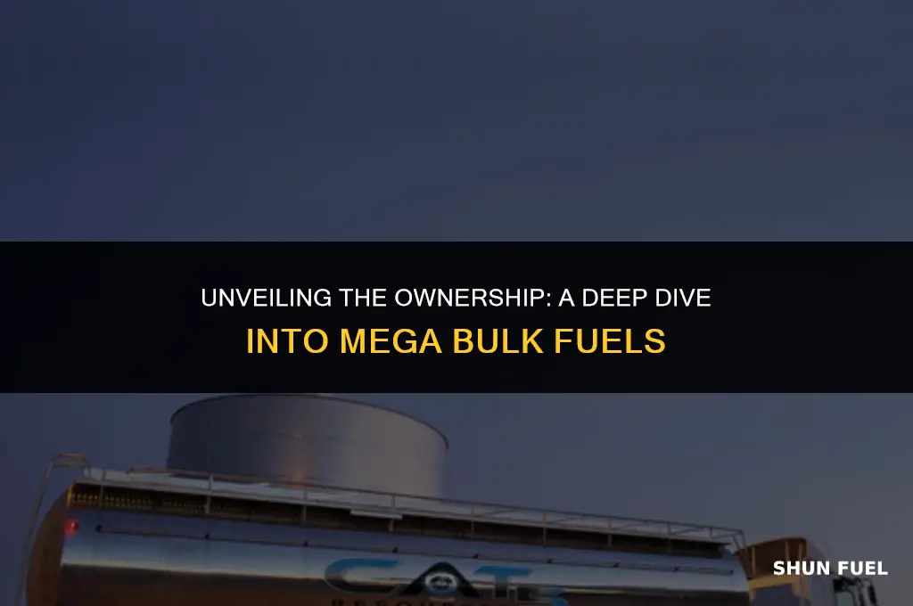 who owns mega bulk fuels
