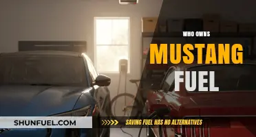 Unveiling the Power: Who Controls Mustang Fuel?