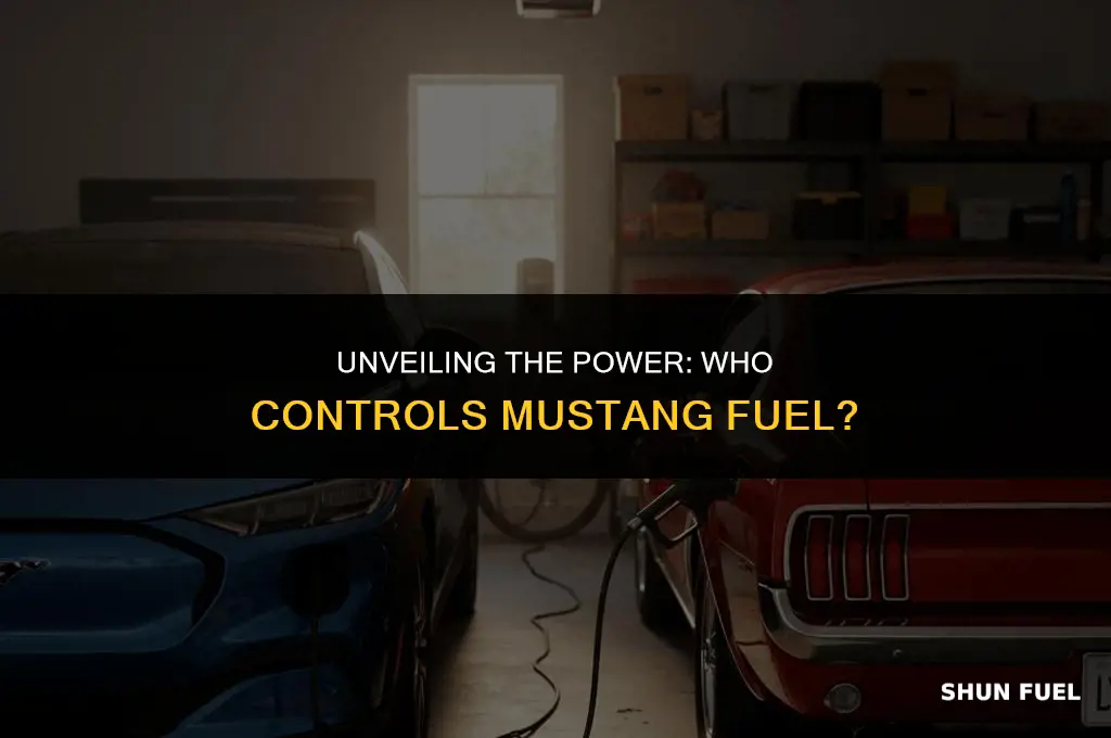 who owns mustang fuel