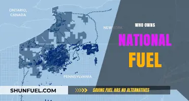 Unveiling the Power Players: Who Really Owns National Fuel?