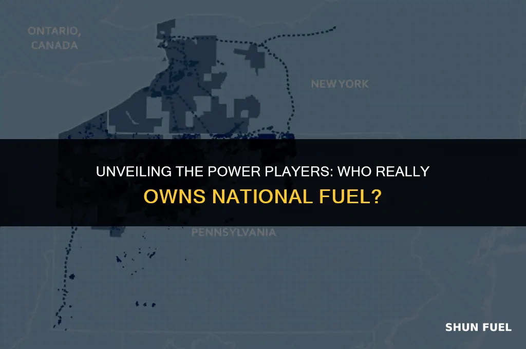 who owns national fuel