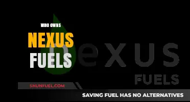 Unveiling the Ownership: Nexus Fuels' Key Players Revealed