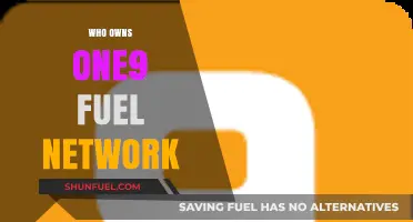 Exploring Ownership: The Intricacies of One9 Fuel Network