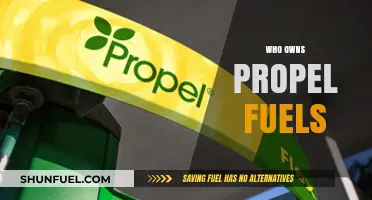 Unveiling the Ownership: A Deep Dive into Propel Fuels' Hierarchy