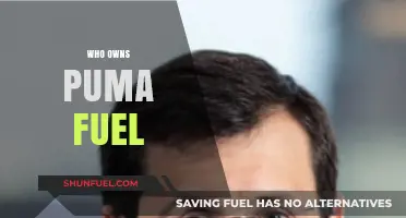 Exploring Puma Fuel's Ownership: A Comprehensive Guide