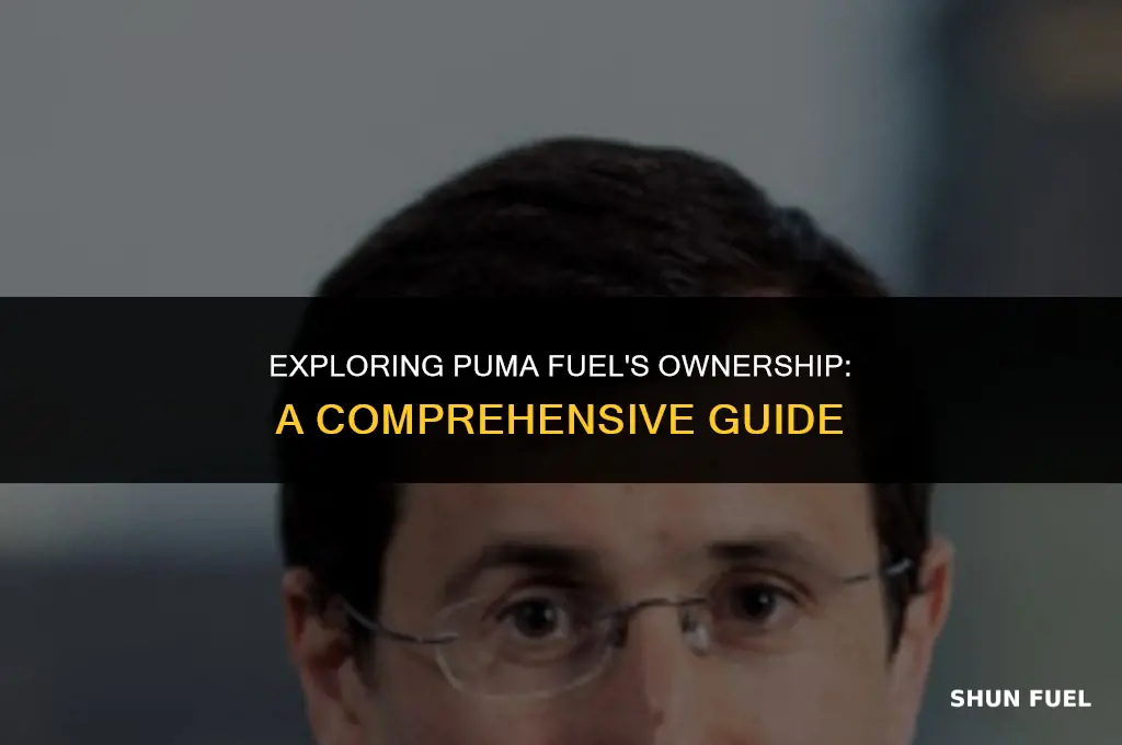 who owns puma fuel