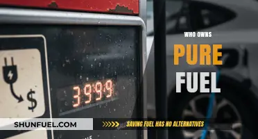 Unveiling the Ownership: A Deep Dive into Pure Fuel's Corporate Hierarchy