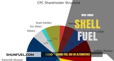 Unveiling the Ownership: Who Controls Shell Fuel?