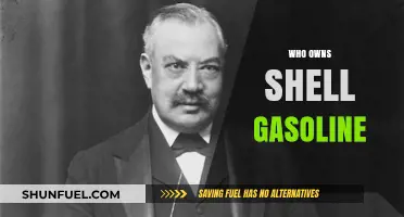 Who Owns Shell Gasoline? Uncovering the Corporate Structure Behind the Brand