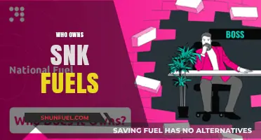 Unveiling the Ownership Mystery: Who Controls SNK Fuels?