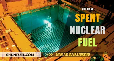 Unraveling Ownership: The Complex Fate of Spent Nuclear Fuel