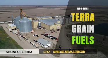 Unveiling the Ownership: Terra Grain Fuels' Corporate Hierarchy